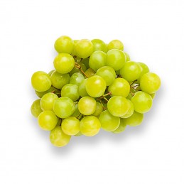 Бяло грозде